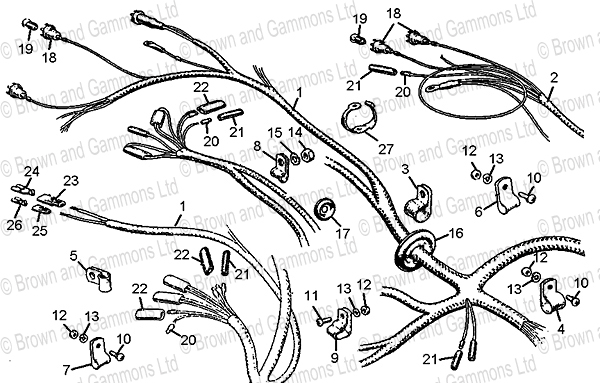 Wiring Loom