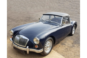 MGA