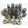 VALVE SPRING KIT TTYPE