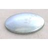 Core plug dish type