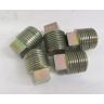 PLUG OIL LEVEL RV8 (Each)