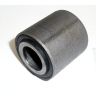 BUSH  REAR SPRING EYE TA-TC