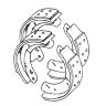 MGB Comp spec rear brake shoe set