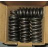 MGA Twin-Cam Valve spring set