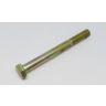 Bolt M10 x 100mm