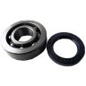 Bearing Rear Hub Tube Axle Kit 
