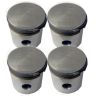 1250 PISTON SET SOL/SKIRT +30