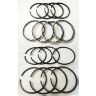 Piston ring set  +20 XPAG (1250)