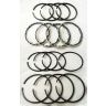 Piston ring set  +30 XPAG (1250)