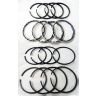 Piston ring set standard  XPAG (1250)