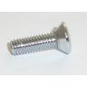 CHROME SCREW