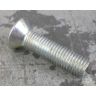 SET SCREW 5/16 INCH x 1.1/4 INCH