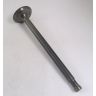 TA Exhaust valve  (MPJG)