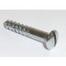 Chrome wood screw Slotted