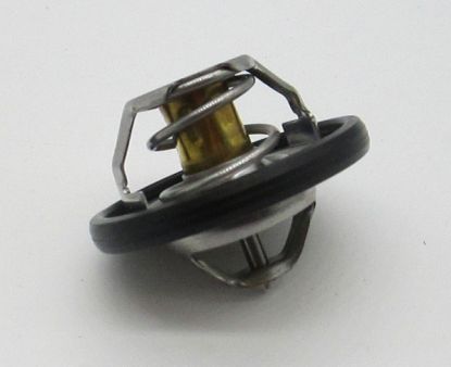 Thermostat 80 deg MG3