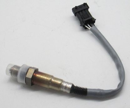 Sensor assembly - Oxygen MG3