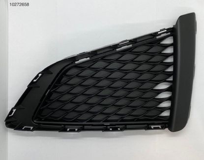 Cover front fog lamp MG3