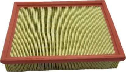 Air Cleaner element MG GS