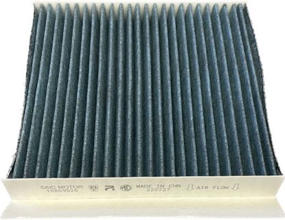 Pollen filter MG HS-GS