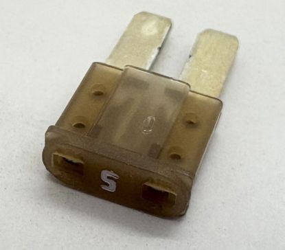 Micro Fuse 5 amp (each)