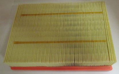 Air Cleaner element MG GS