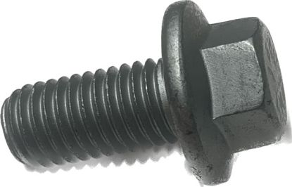 Bolt