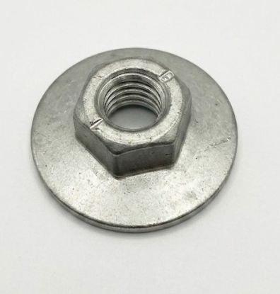 Nut