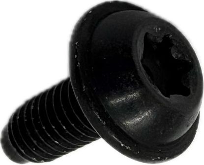 Flanged Screw 