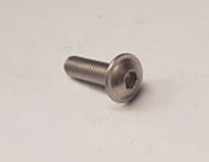Screw Stainless steel number plate MG HS