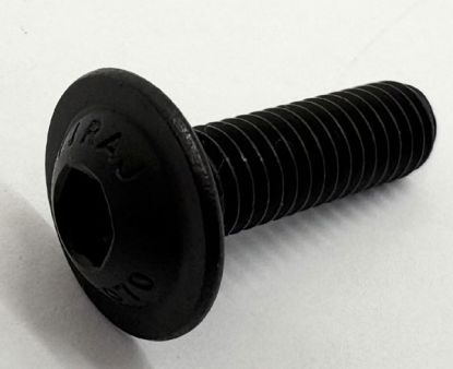 Number plate screws black Stainless steel MG HS