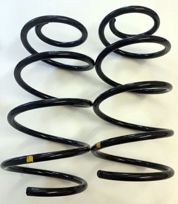 Front Coil Spring MG6 Diesel Pair 