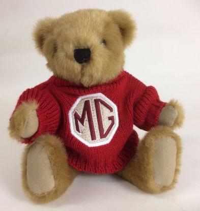 Buster Teddy Bear with Red Jumper 