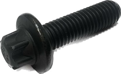 Timing chain bolt MG3