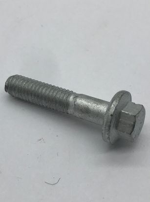 Bolt M6 x 30 sliver colour