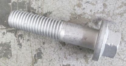 Bolt Flanged M12 x 55mm 