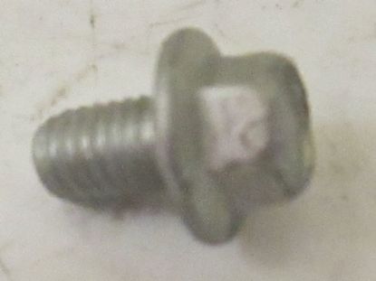 SCREW 