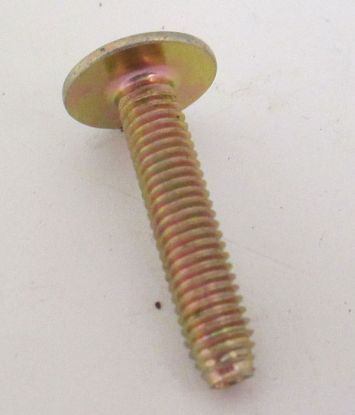 Door lock screw