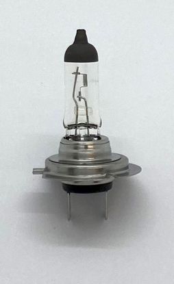 BULB H7