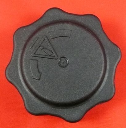 EXPANSION Tank Cap MG/Rover