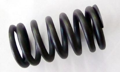 Valve spring Rover 45 MG ZS 'T' series