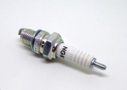 Spark Plug Tiger Moth D6HA