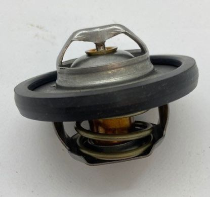 Thermostat 82 deg C