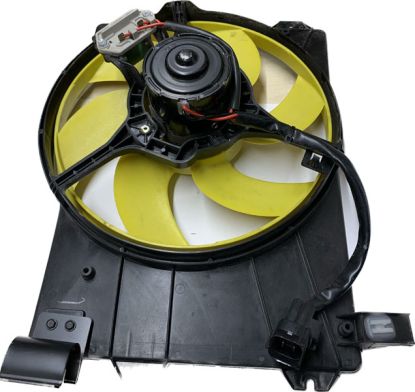 Fan and motor assembly R25 ZR R200