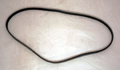 ALTERNATOR BELT