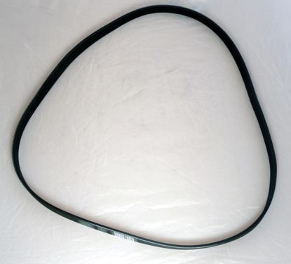 ALTERNATOR BELT