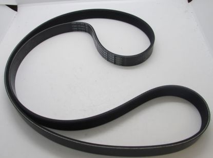 V6 ALTERNATOR BELT