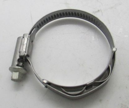 CLIP  HOSE WORM