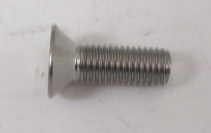 SCREW 1/4 INCH UNF X 3/4 INCH CSK POZI Stainless Steel