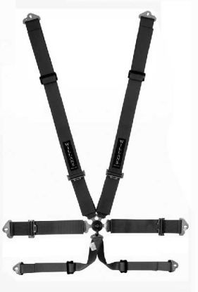 WILLANS 4 X 4 CLUB BELT + CRUTCH
