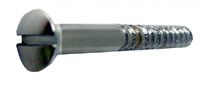Chrome wood screw slotted